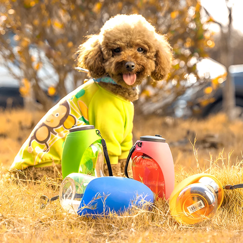 Portable dog water bottle with fold-out drinking bowl in multiple colour options