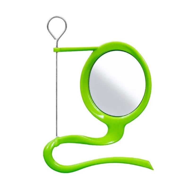 Plastic solid colour parrot feeder for birds with green squid skeleton specification option