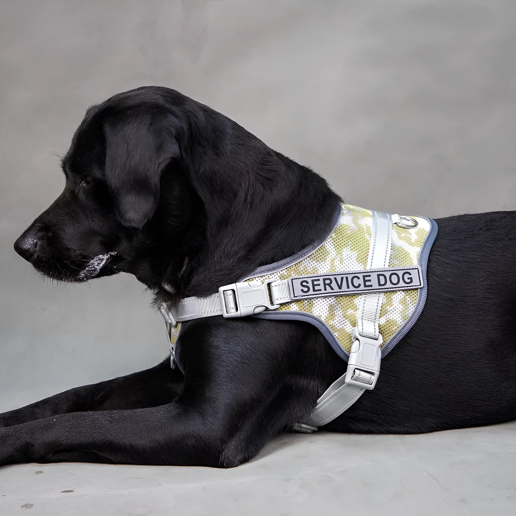 Colourful reflective pet harness with neck protection anti-strangulation design in polyester