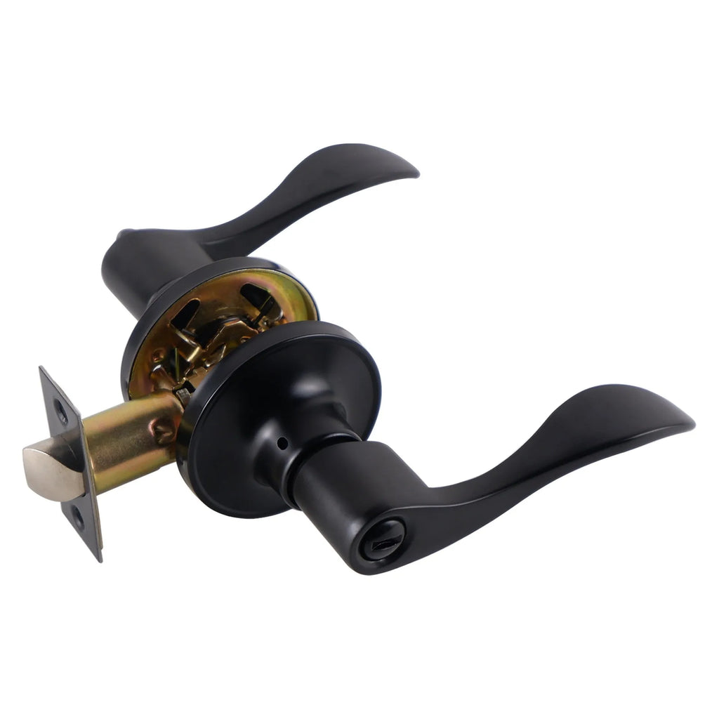 Stainless steel door handle lock with black finish, modern simplicity style for interior bedroom and bathroom doors