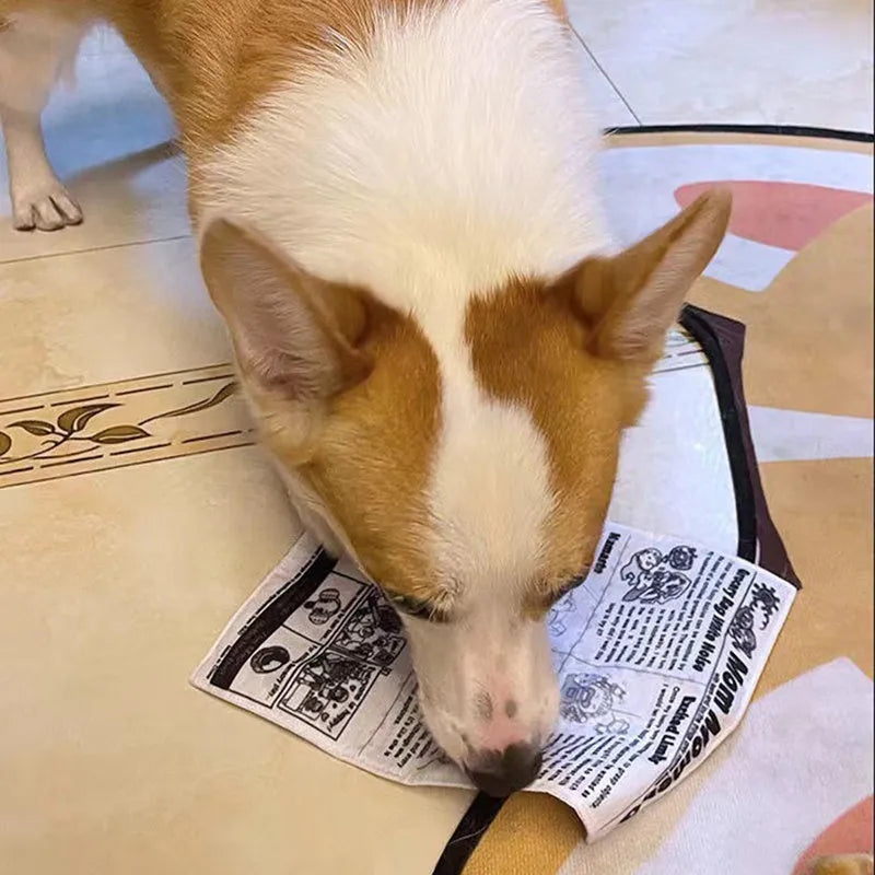 Tearproof dog toy with playing card design featuring simulated newspaper squeak sound mechanism