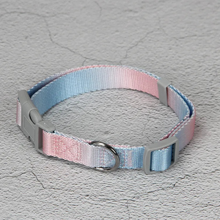 Gradient colour nylon dog leash showing pink-blue pattern with collar attachment