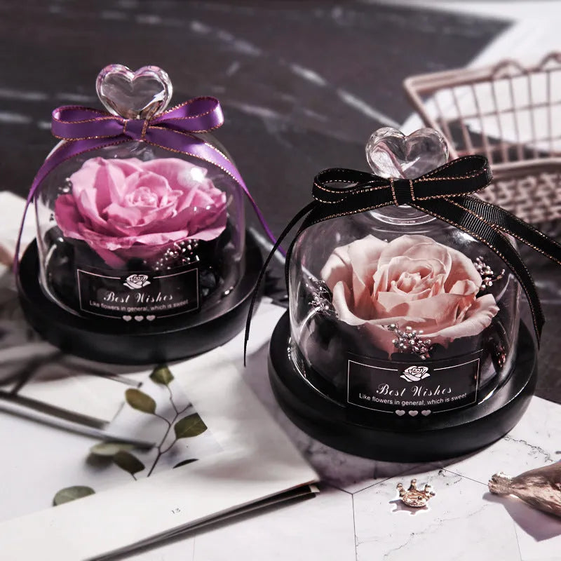 Glass dome containing a preserved red eternal rose illuminated by a soft LED light
