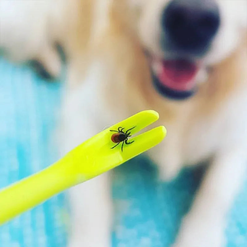 Three blue plastic tick removal hook clips for dogs and cats on a white background.