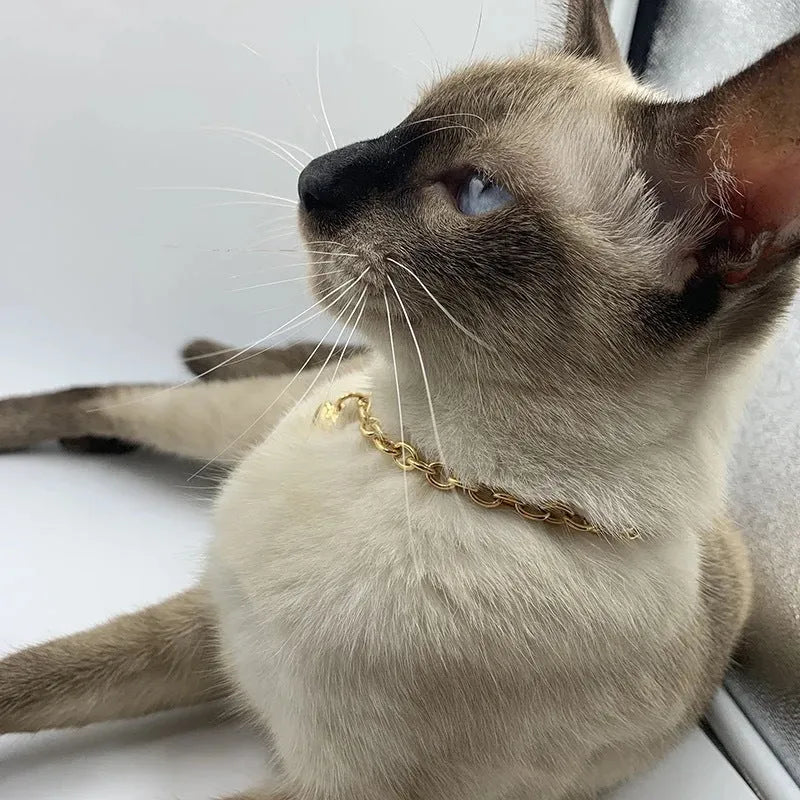 Stainless steel pet necklace with heart pendant showing cat and dog motifs on gold and silver curb chains