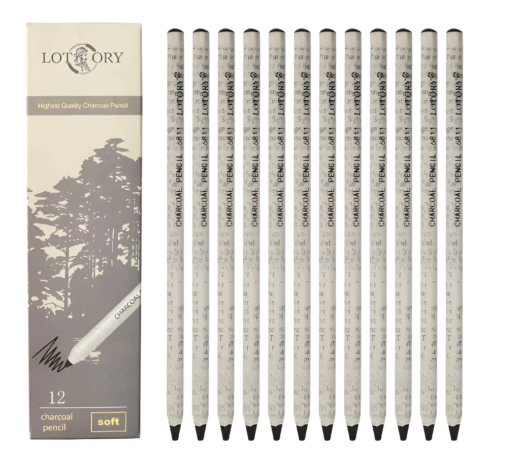 Charcoal pencil art set with multiple grades from 2H to EE including drawing charcoal and wire tools