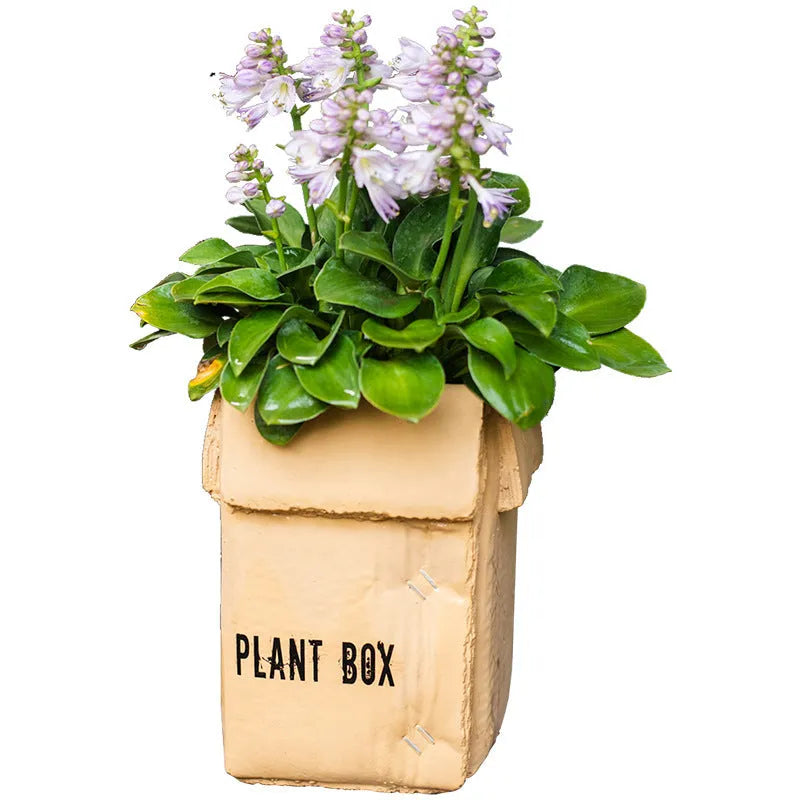 Cement flowerpot in Nordic style with bottom drainage holes on a floor