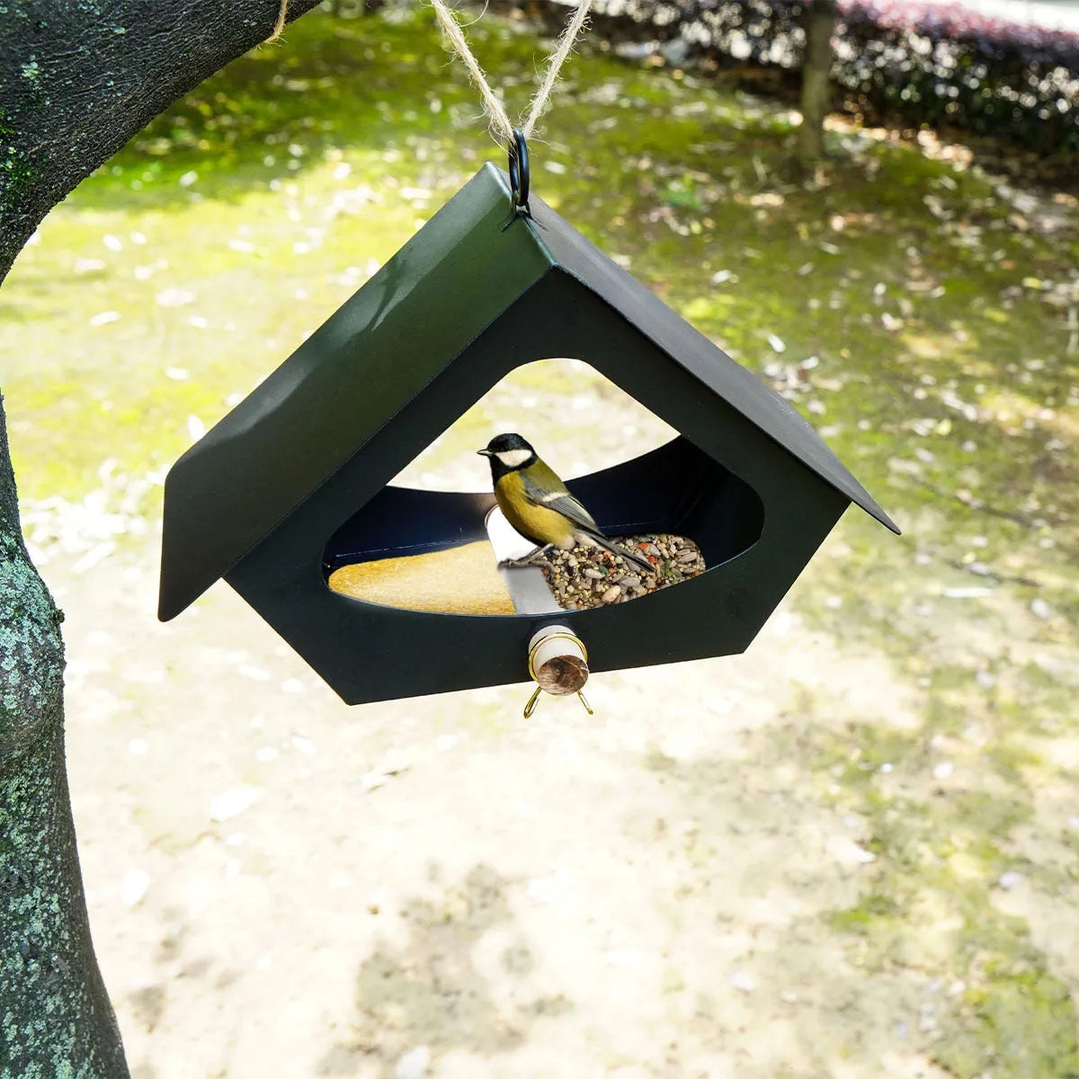 Iron bird nest feeder with European modern design in black or white colour options