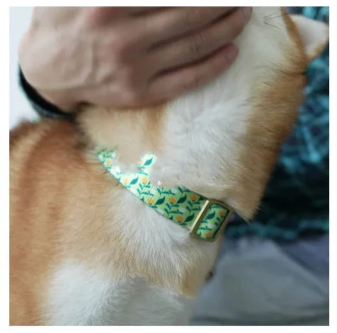 Floral pattern nylon ribbon pet collar in Hanada colour with adjustable sizing from XS to XL