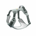 Adjustable dog chest strap harness in avocado green colour shown on a medium-sized dog.