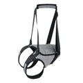 Grey neoprene dog hind leg recovery support belt shown on size chart