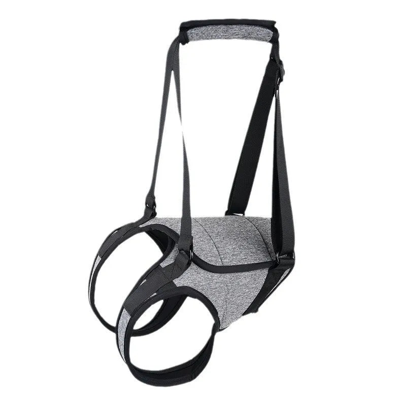 Grey neoprene dog hind leg recovery support belt shown on size chart