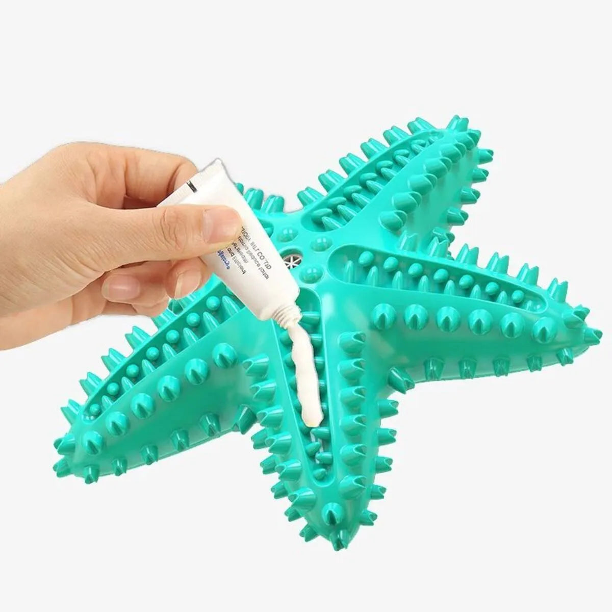 Edible TPR starfish dog toy with squeaker for tooth cleaning in blue, green and yellow colours