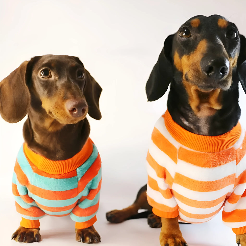 Orange red striped casual sweatshirt for dogs and cats with round neck in six sizes