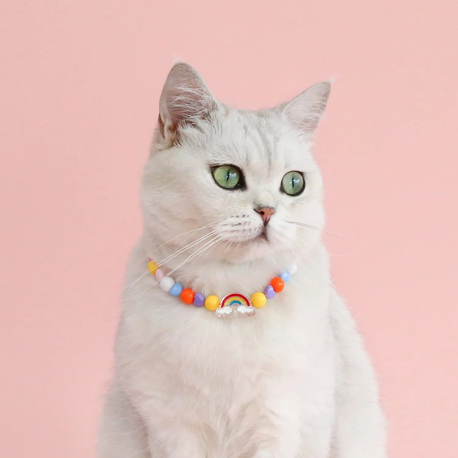 Colourful plastic bead pet necklace shown in peach, rainbow, and small flower patterns with an adjustable clasp.