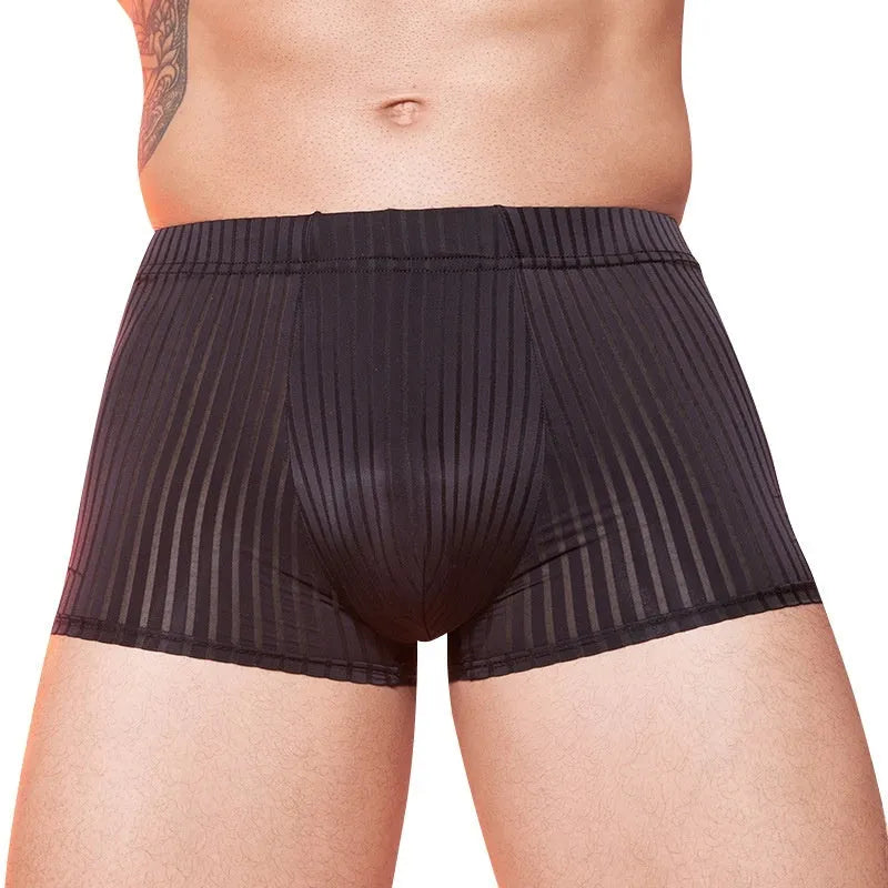 Men's striped thin transparent nylon underwear in black, displayed flat.