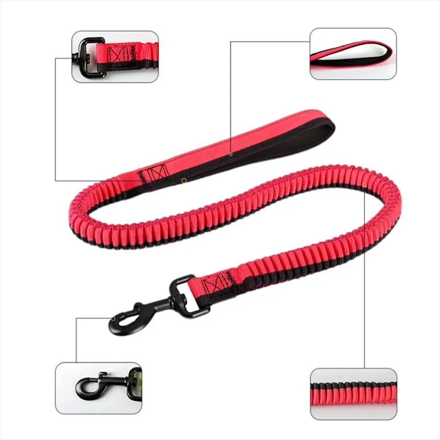 Green tactical dog leash with elastic section and metal clip for medium large breed training