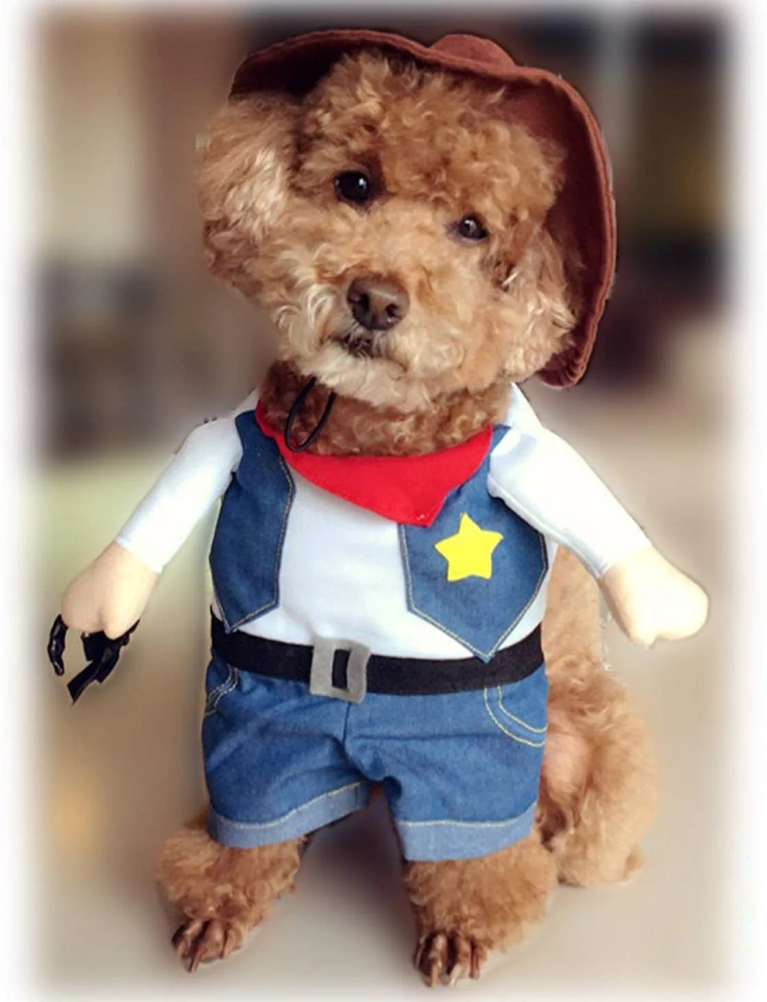 Pet denim cowboy costume with hat for cats and dogs dark blue cloth jacket set
