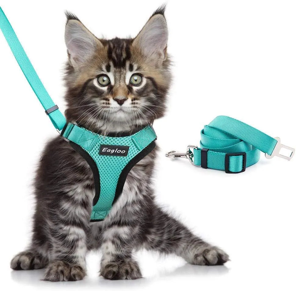 Escape proof cat vest harness in black with reflective trim and car seat belt adapter leash