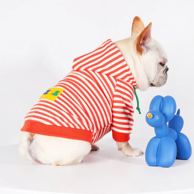 Orange cotton hooded sweater for dogs in Japanese and South Korea style on various breed sizes