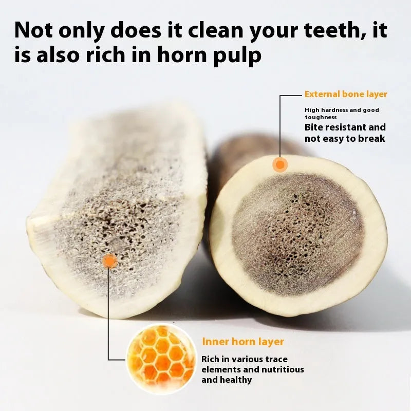 Natural antler dog chew in small, medium or large size – bite-resistant dental snack for teeth cleaning.