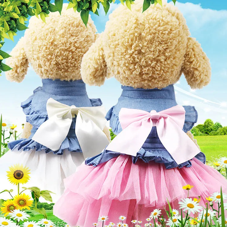 Korean pet denim skirt with creative bow design on a dog model