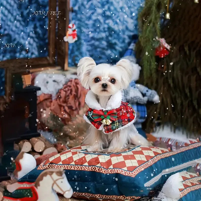 Red festive dog scarf with bell pattern fastened around a small dog's neck in winter.