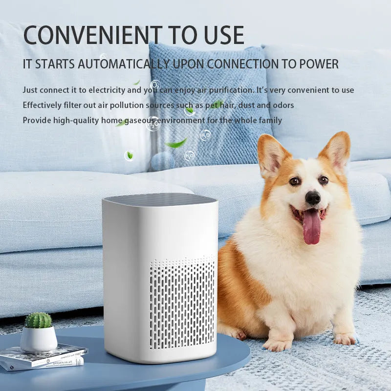 Simple style desktop air purifier unit with USB port for small room air cleaning.