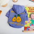 Blue and purple cartoon printed plush fleece dog hoodie with a cotton lining and a hood.