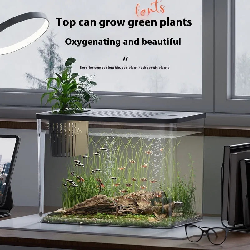 Black Ecological Betta Tank with clear plastic cover on a wooden table.