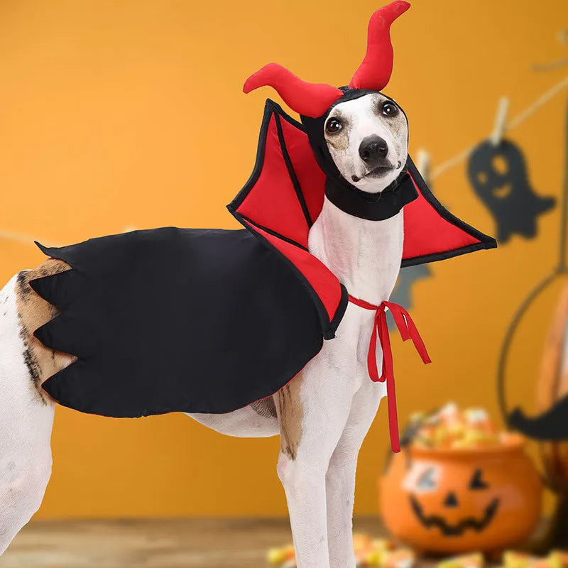 Black polyester vampire cloak and hat Halloween costume for a dog or cat on a white background.