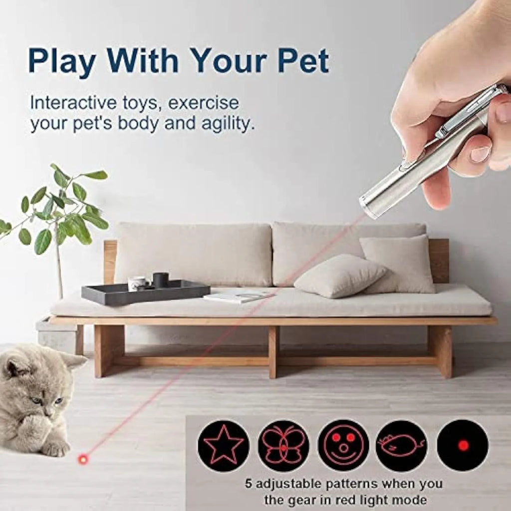 Silver aluminium USB-rechargeable cat laser toy pointer with five pattern options.