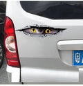 Large 3D eagle eye and tiger eye pattern car door and bumper decoration sticker
