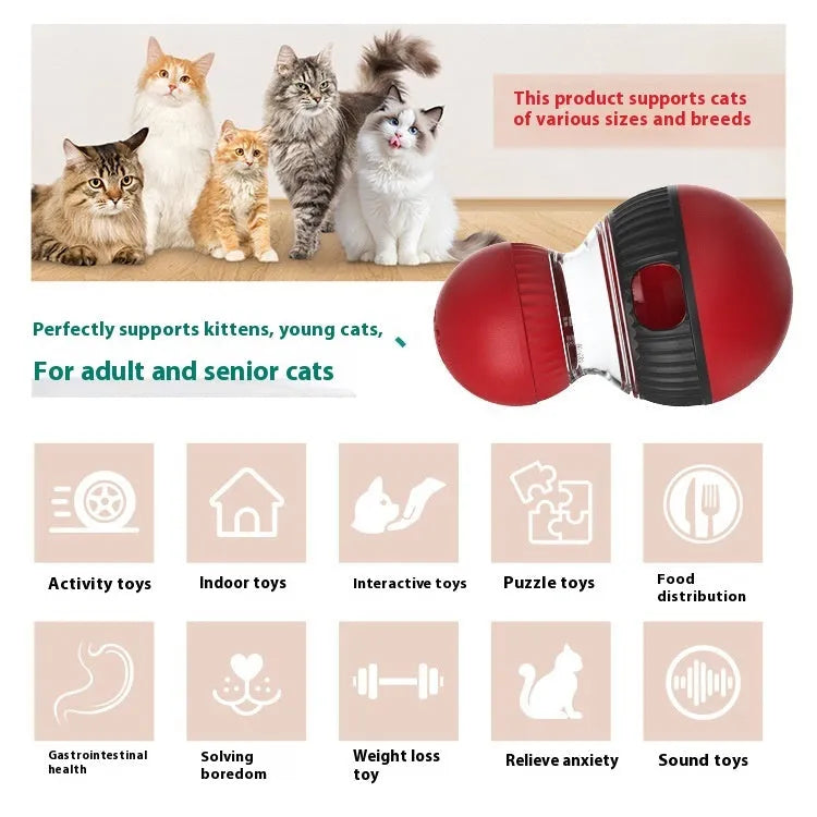 Super ball coloured plastic rotating cat toy with sound feature for food dispensing.