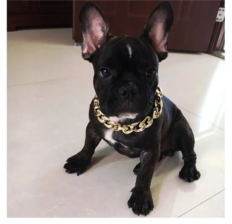 Gold colour chain style dog collar with geometric resin design and buckle closure for small medium dogs