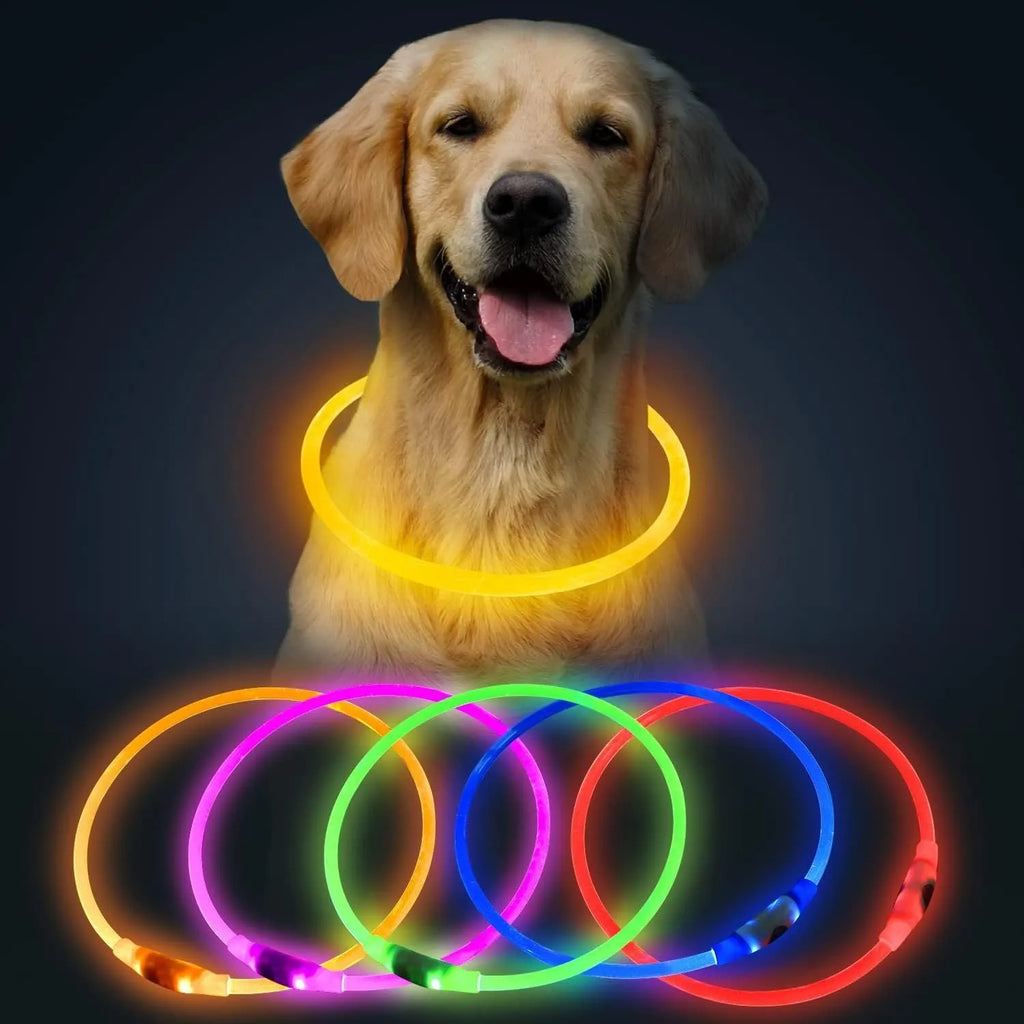 Blue rechargeable LED dog collar glowing around a dog's neck on a dark background.