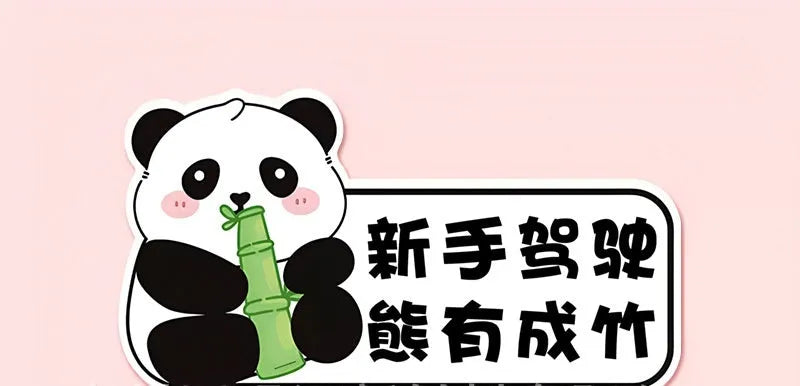 Reflective beginner driver car sticker with bear design for female motorists measuring 23 by 12 centimetres