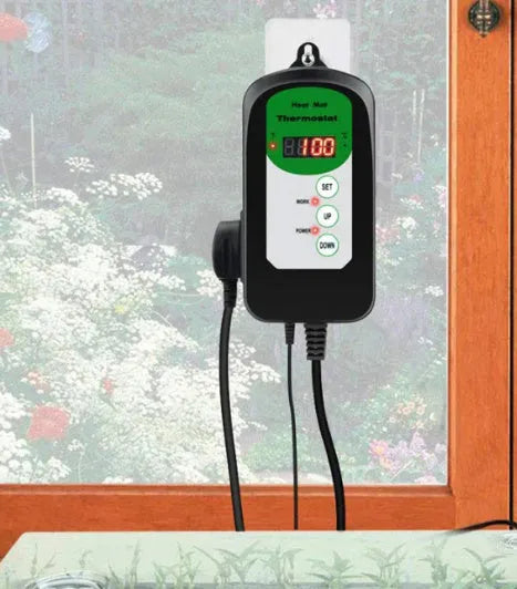 BH1912020 digital temperature controller with display showing temperature reading
