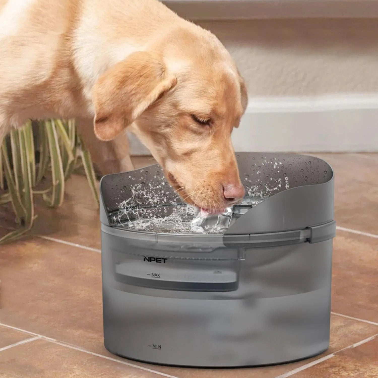 Automatic pet water dispenser with circulation system and filter cartridges