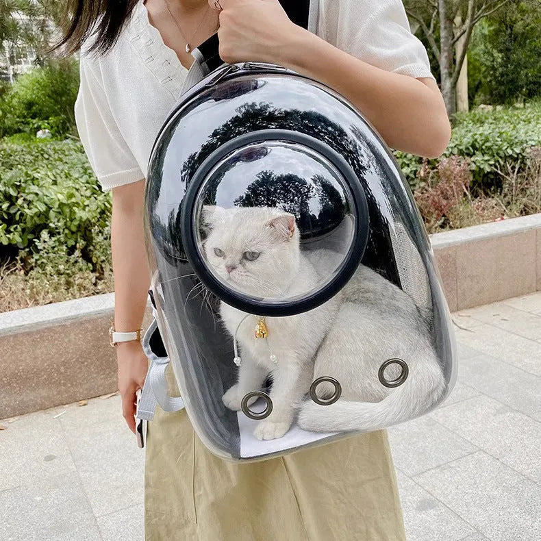 Transparent skylight pet cat bag in black colour, PC material, large capacity for travel use