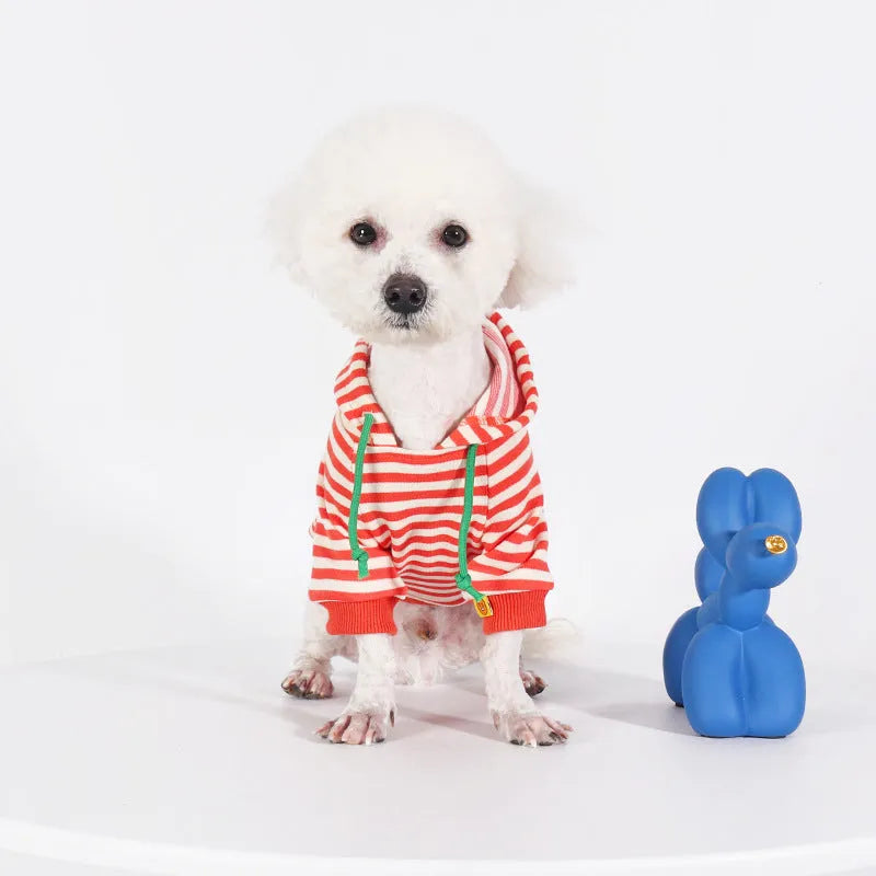 Orange cotton hooded sweater for dogs in Japanese and South Korea style on various breed sizes