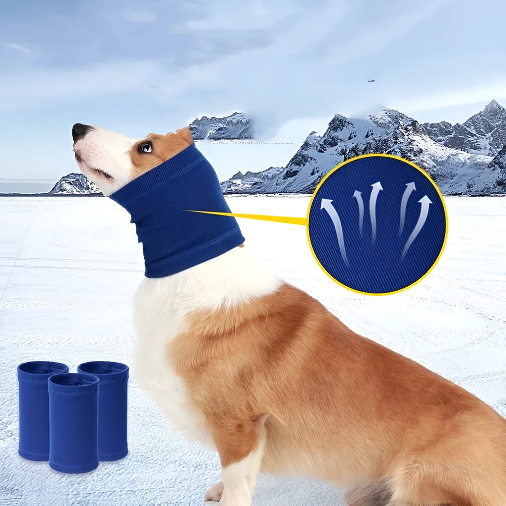 Blue or grey polyester headband scarf for a dog, shown in small, medium, and large sizes.
