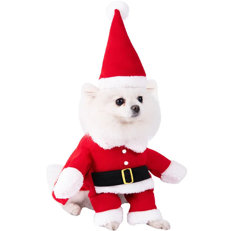 Halloween dog costume with bat wings, devil, pumpkin and scissor hand design options