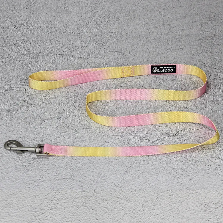 Gradient colour nylon dog leash showing pink-blue pattern with collar attachment