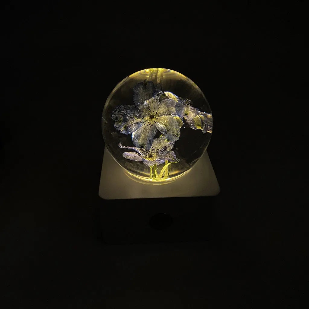 Glass dome desktop night light showing a real preserved dandelion flower with sunflower accents inside.