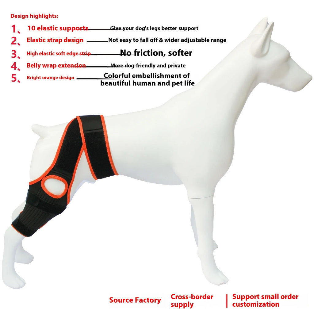 Neoprene dog hind leg knee brace assist strap shown in collar black colour, sized for medium dog.