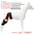 Neoprene dog hind leg knee brace assist strap shown in collar black colour, sized for medium dog.