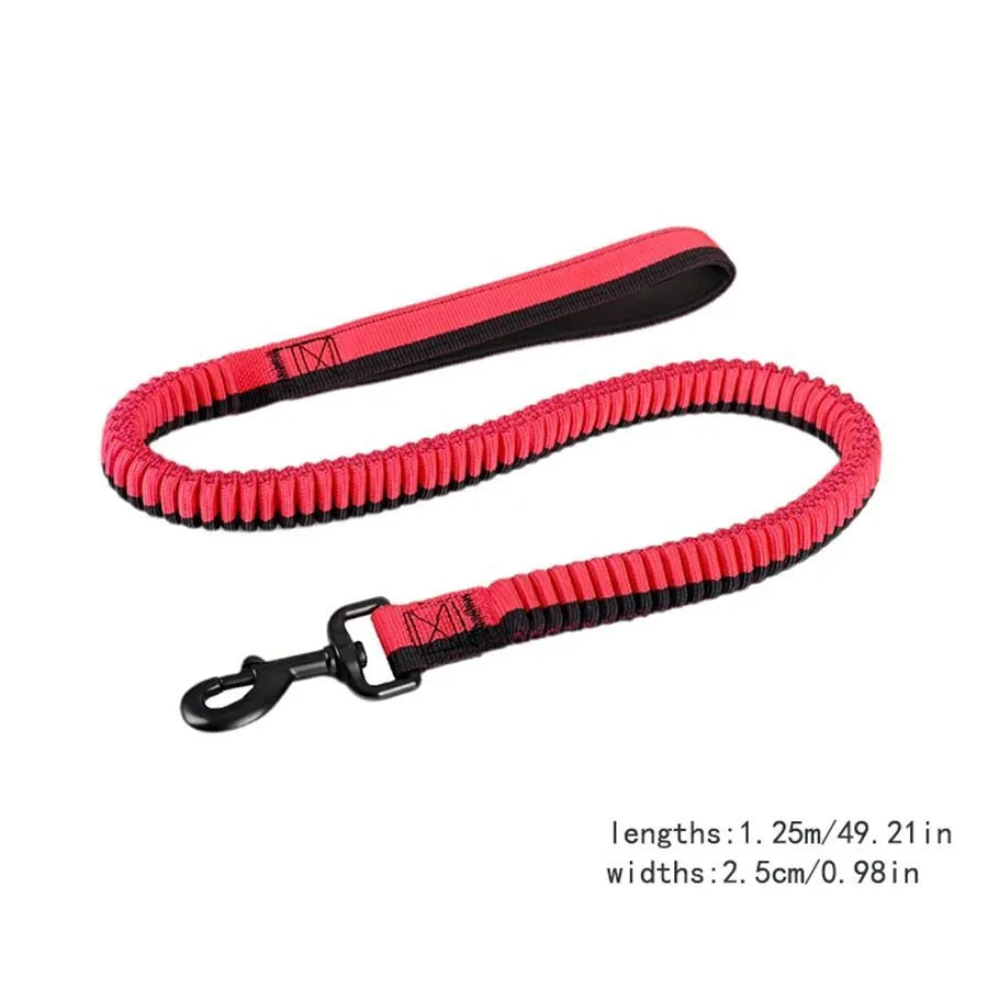 Green tactical dog leash with elastic section and metal clip for medium large breed training
