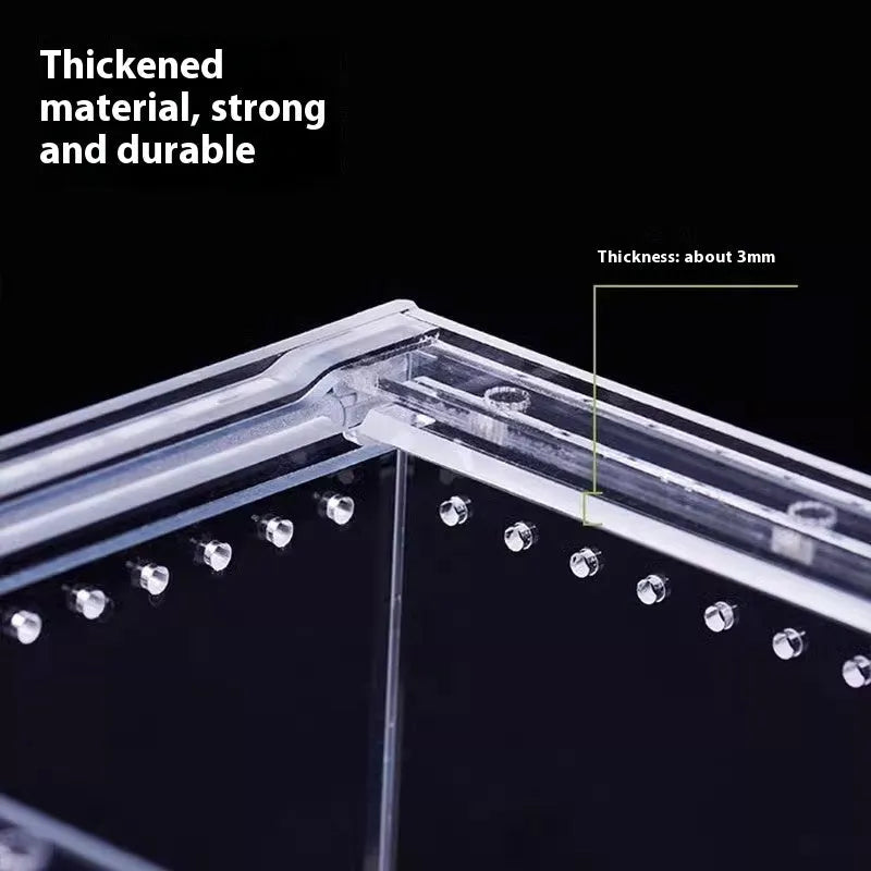 Transparent acrylic reptile feeding box showing PC construction and size options