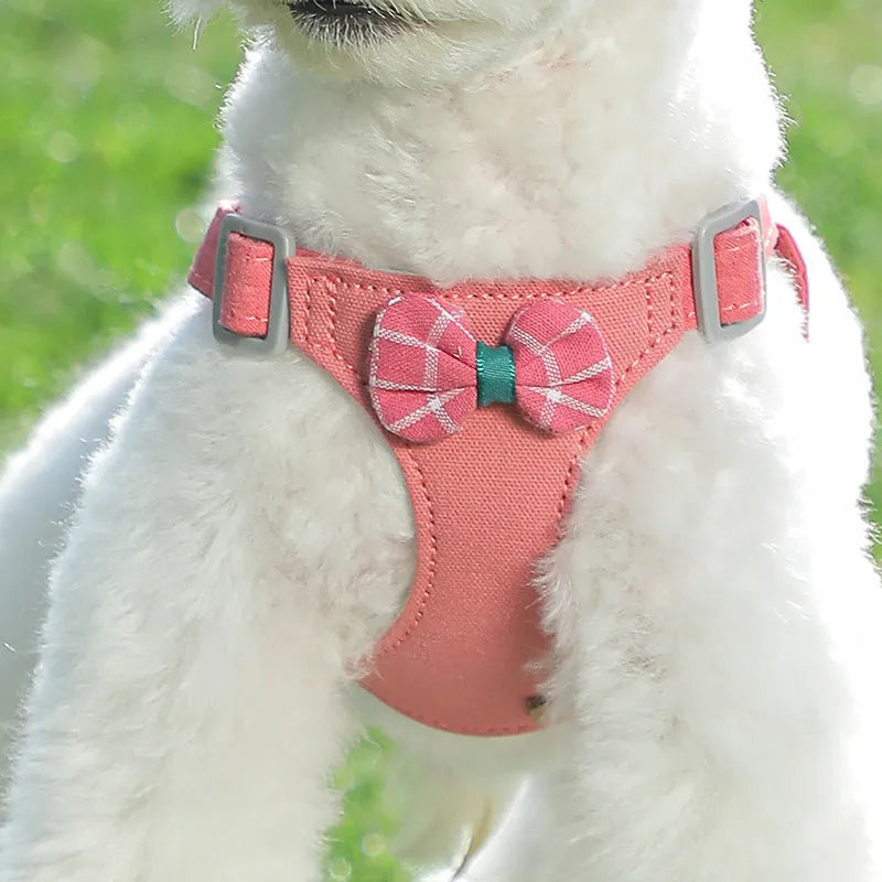 Dog hand holding rope vest small dog chest harness set in beige dots flowers with traction rope